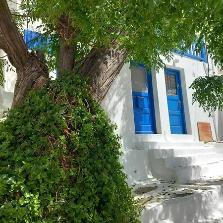 Alex Central Apartment *